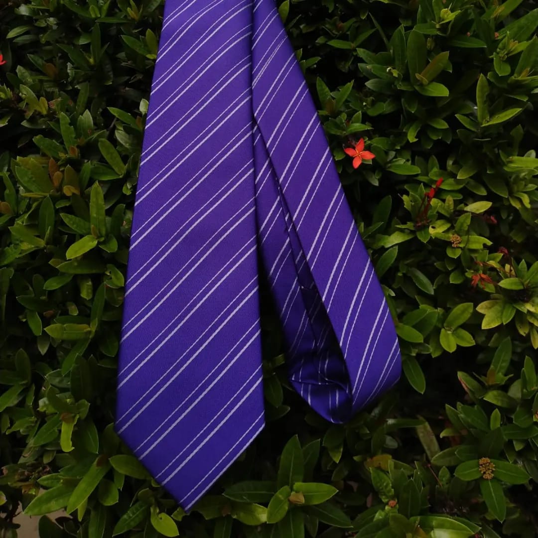 Formal Dinner Tie